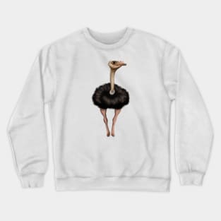 Cute Ostrich Drawing Crewneck Sweatshirt